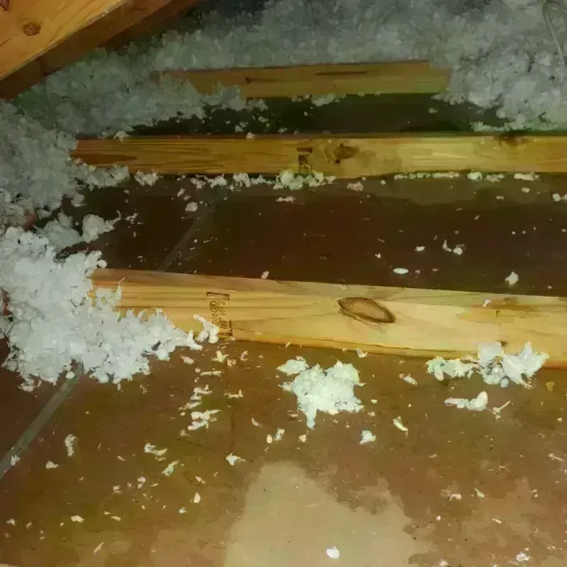 Attic Water Damage in Okauchee Lake, WI