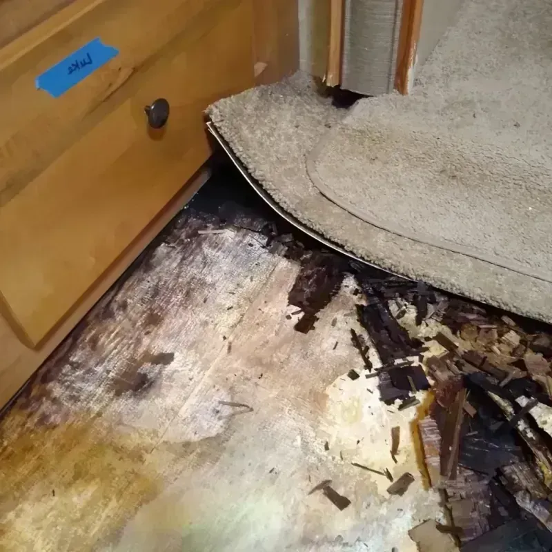 Wood Floor Water Damage in Okauchee Lake, WI